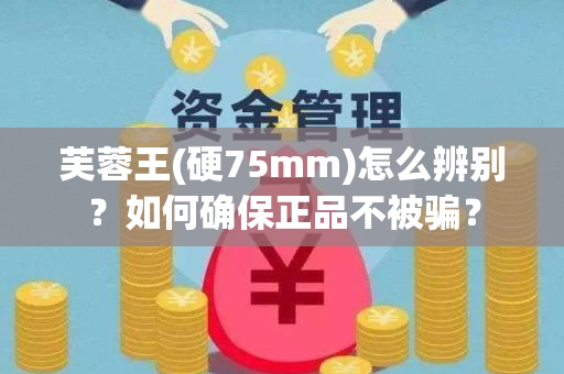 芙蓉王(硬75mm)怎么辨别？如何确保正品不被骗？